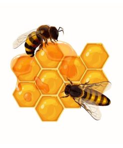 Honey