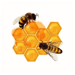 Honey